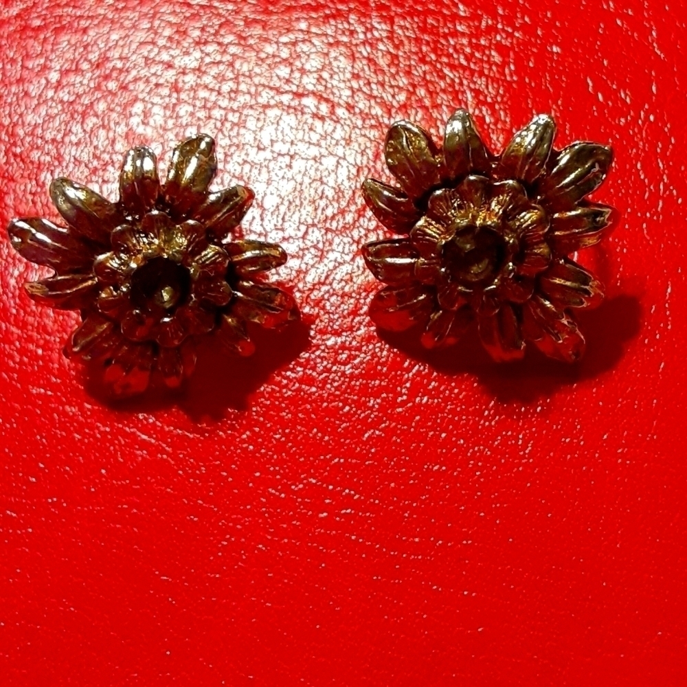 Clip-on Gold-toned Earrings